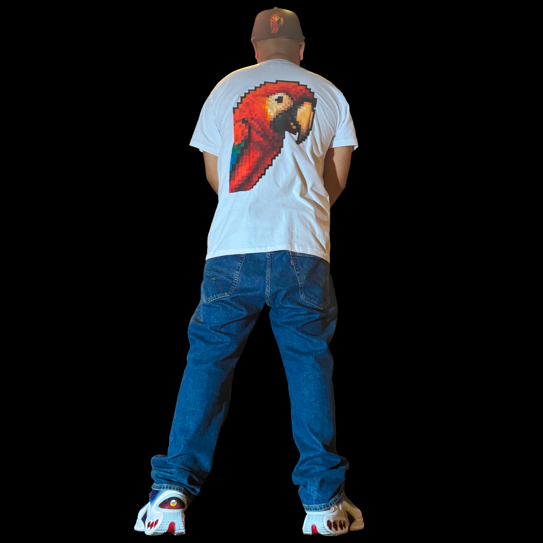DTF Vol.1 Pixelated Parrot