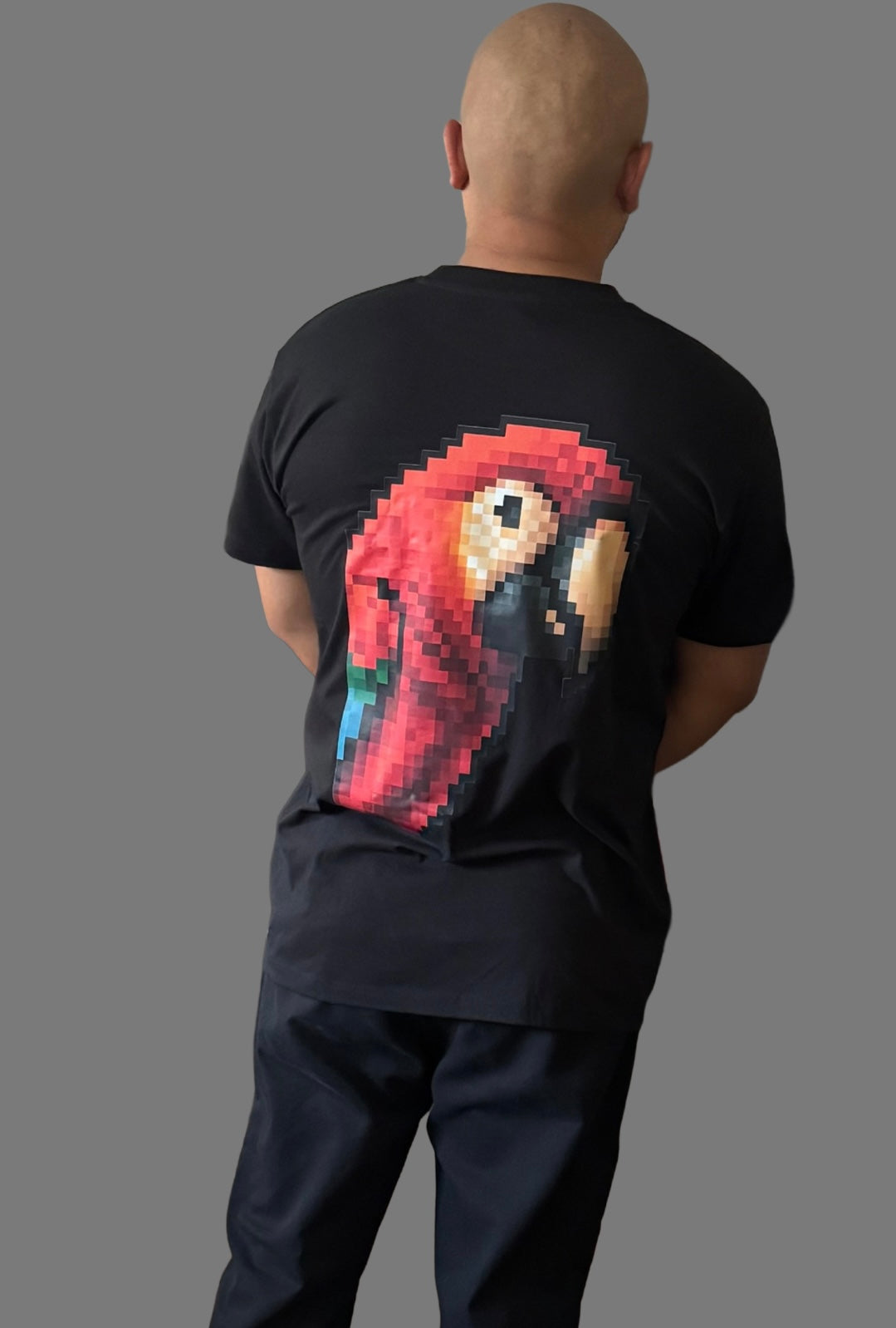 DTF Vol.1 Pixelated Parrot