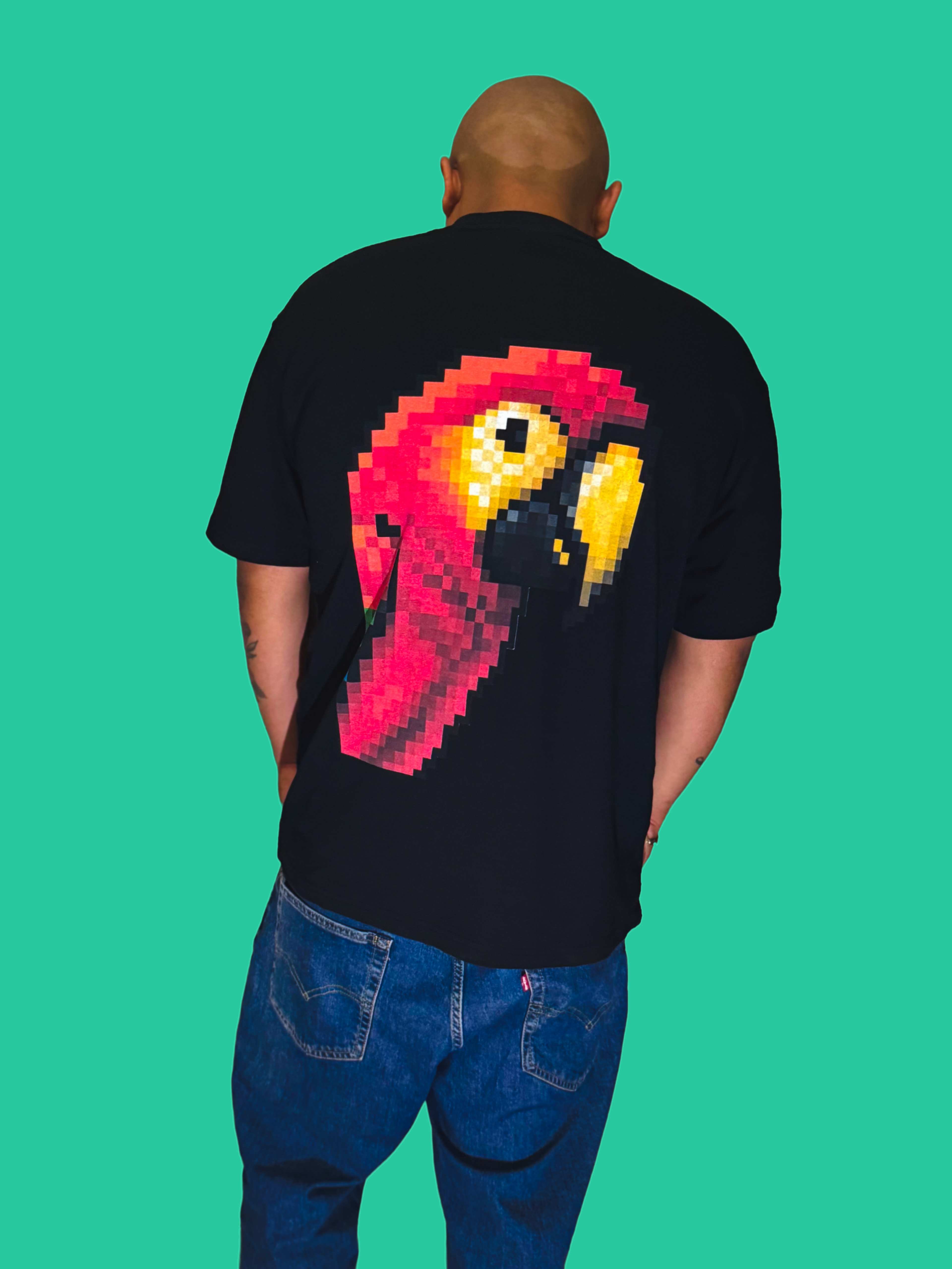 DTG OverSized Players Paradise Pixelated Parrot