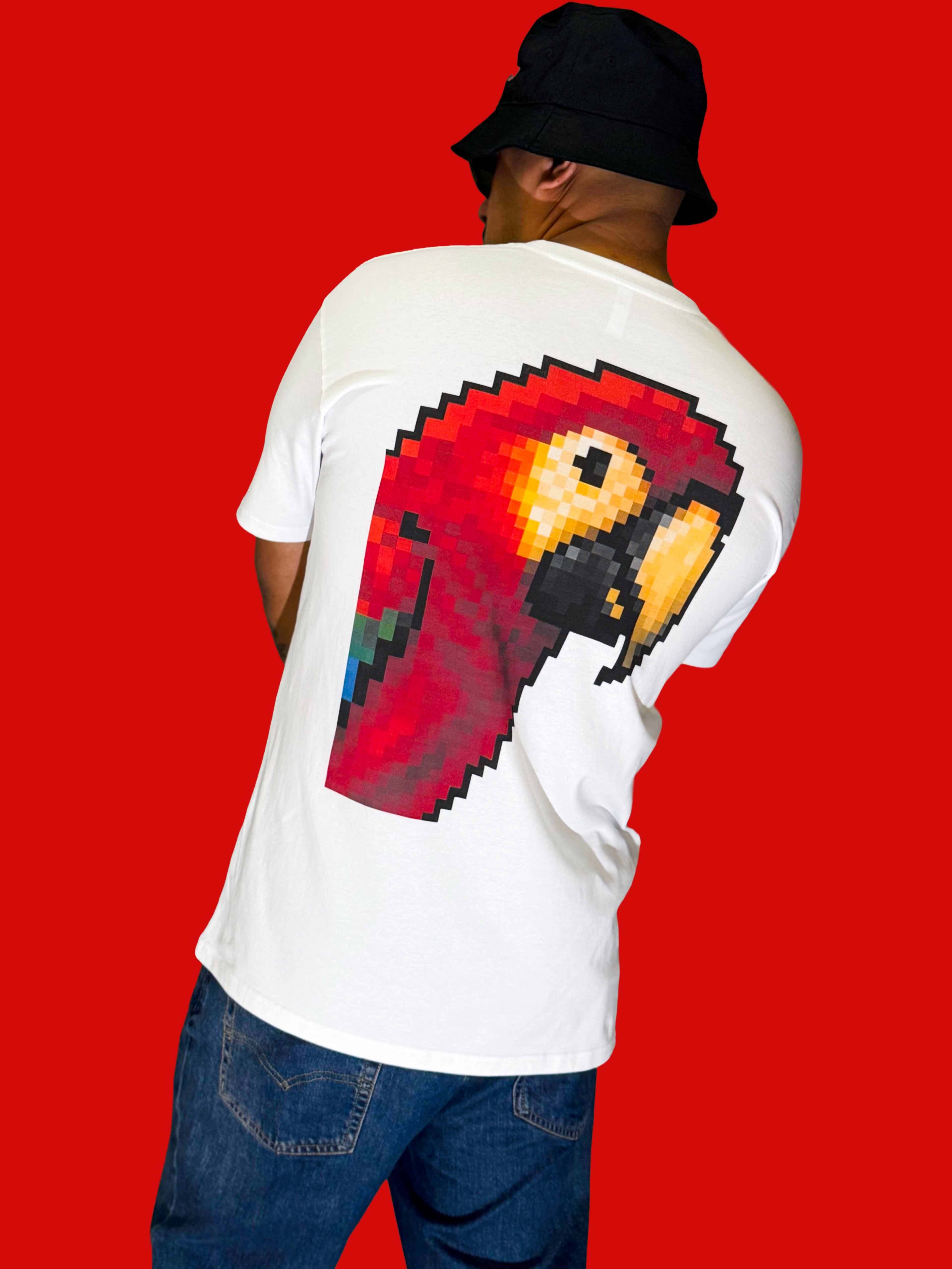 DTG Players Paradise Pixelated Parrot